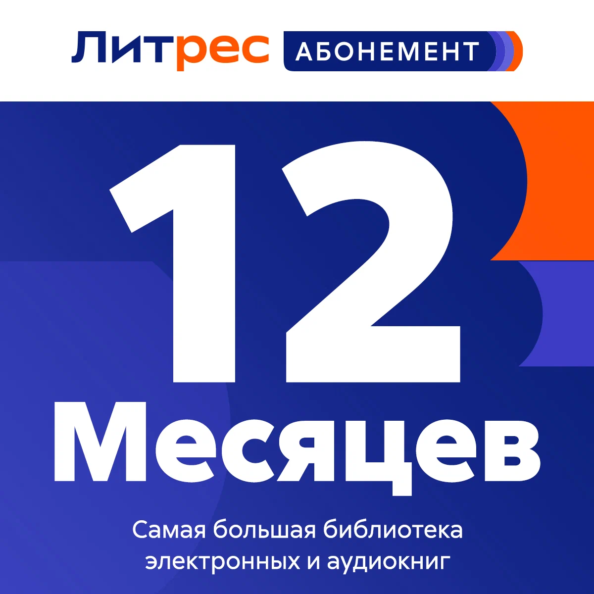 ЛитРес: Абонемент 12 месяцев